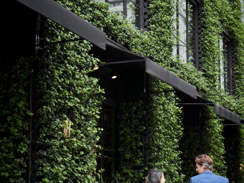 1 Hotel Central Park