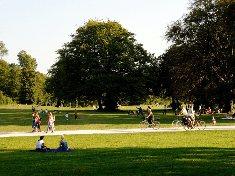 Park views of people enjoying a variety of activities