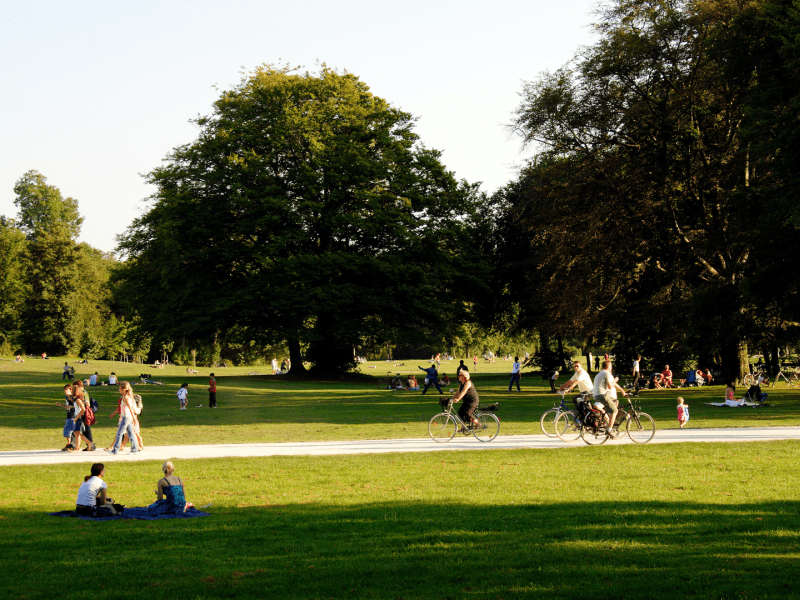 Park views of people enjoying a variety of activities