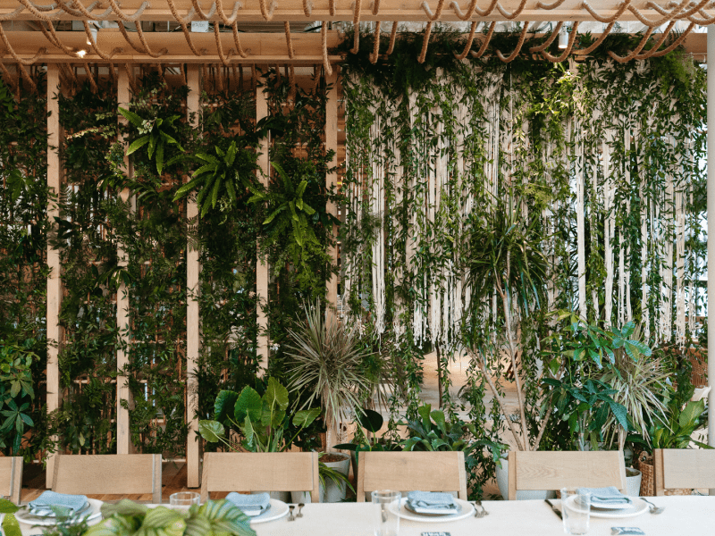 Wall decorated with plants 