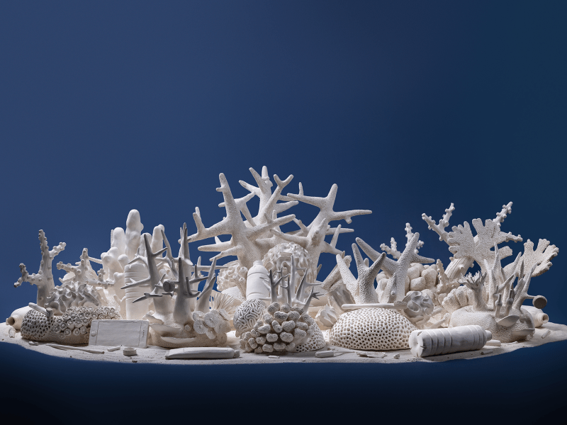 coral sculptures