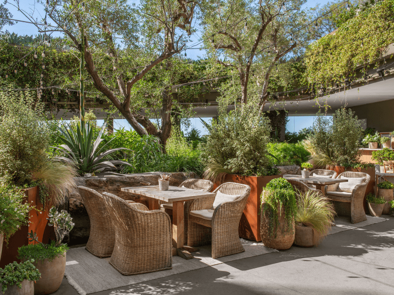Juniper Garden
