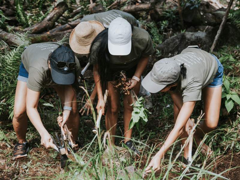 volunteer