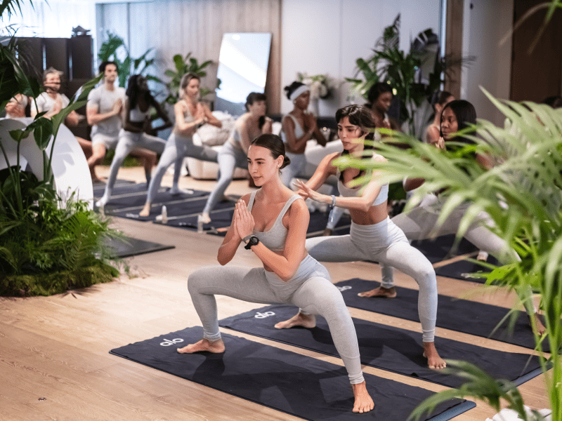 Mind and Movement