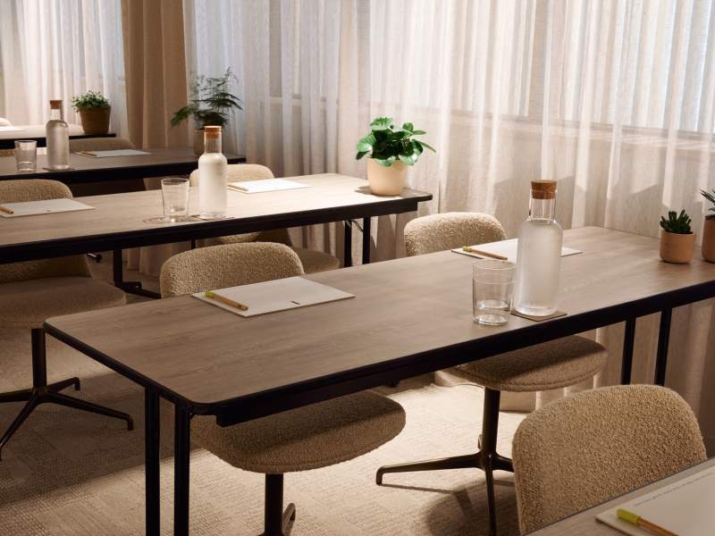 Juniper in classroom