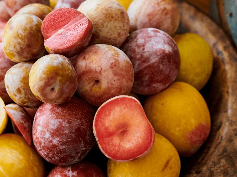 Maçãs da Farmstand