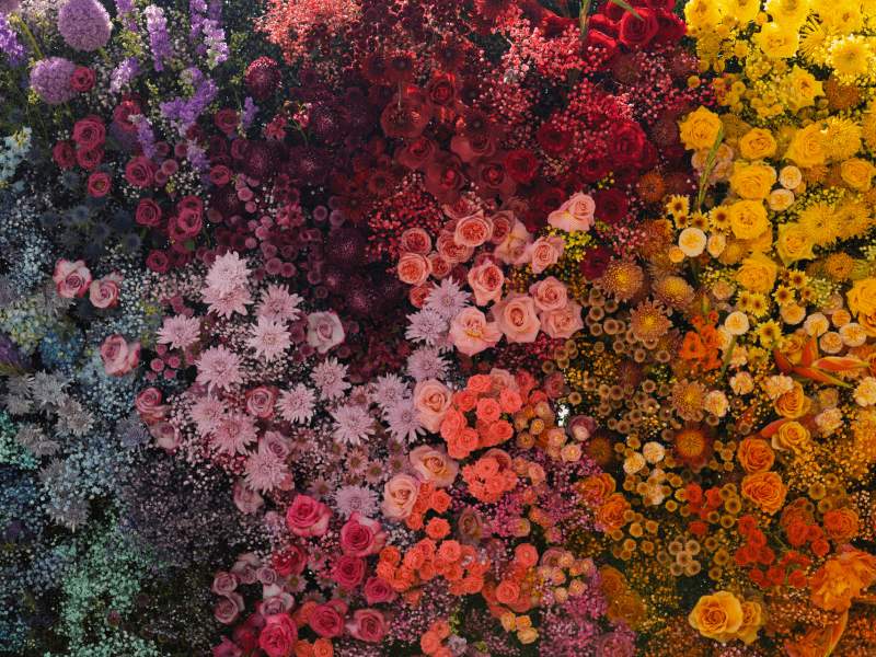floral wall