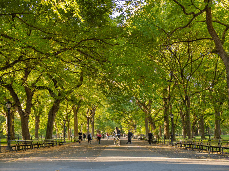 Park