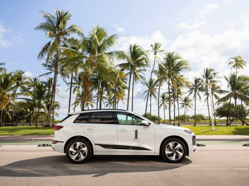audi in front of palm trees