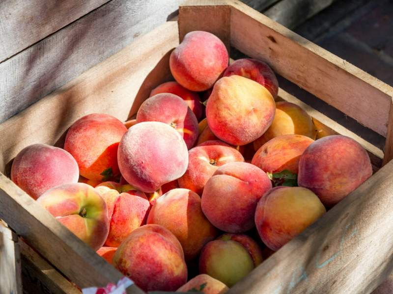 basket of local fruits