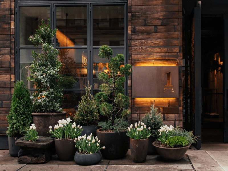 Potted plants outside 1 Central Park