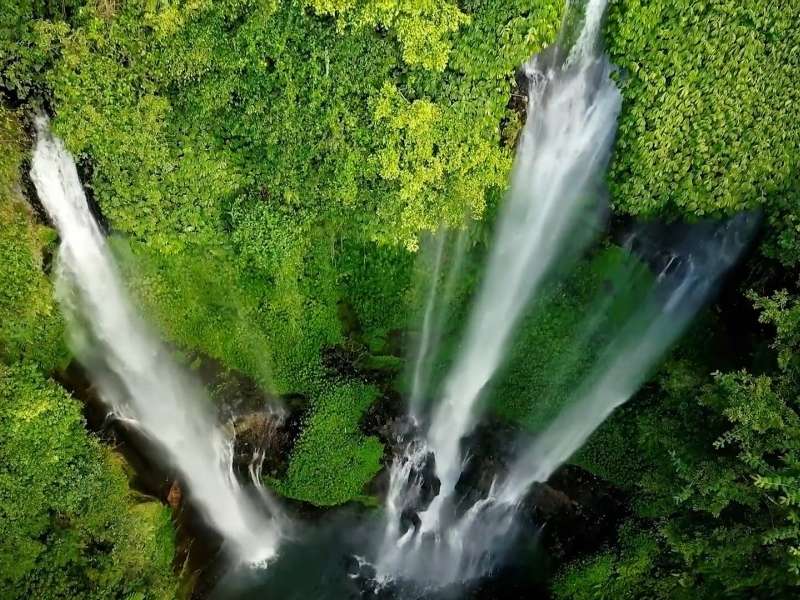 Water Falls Water Falls surrounded by green plants