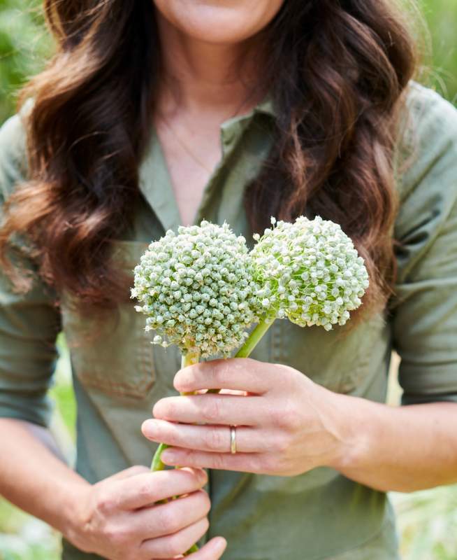 Woman holding plants