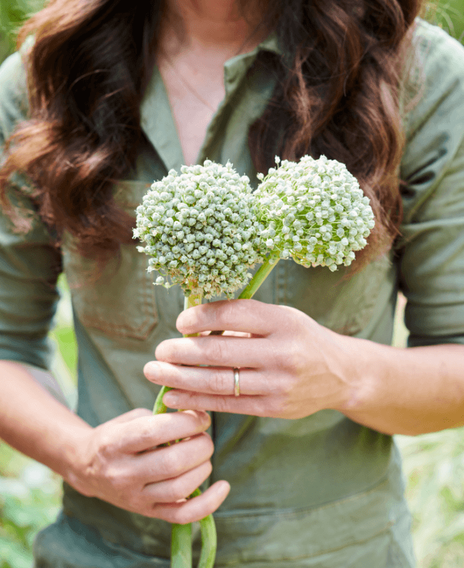 Woman holding plants