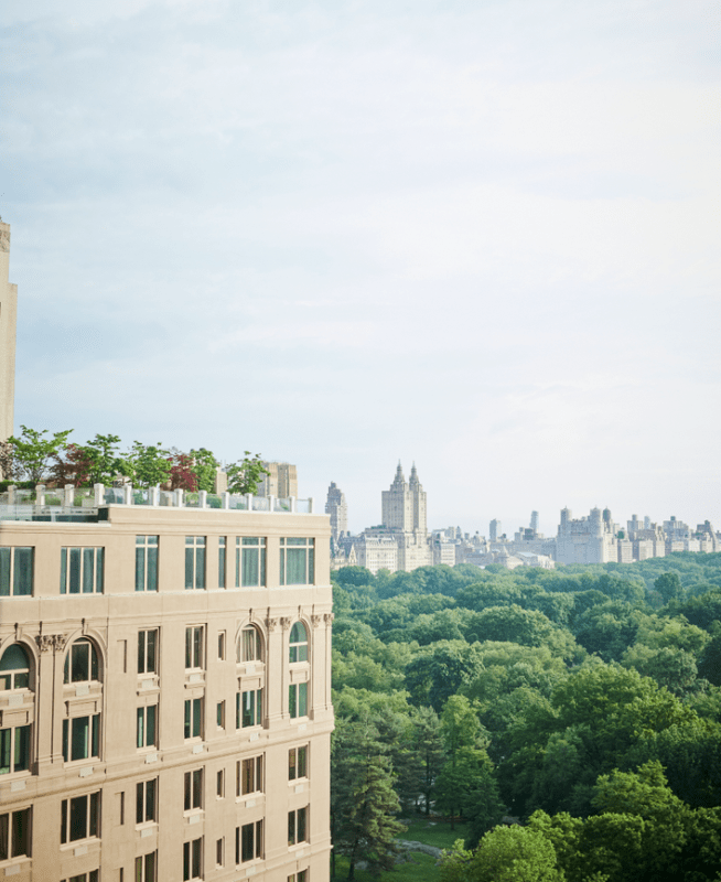 View of central park and skyline 