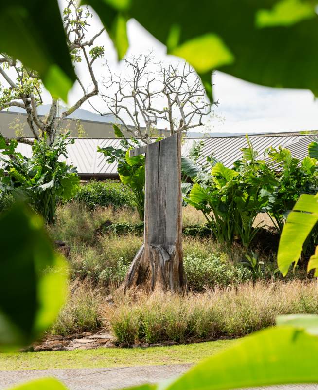  a tree stump taken through some green leaves