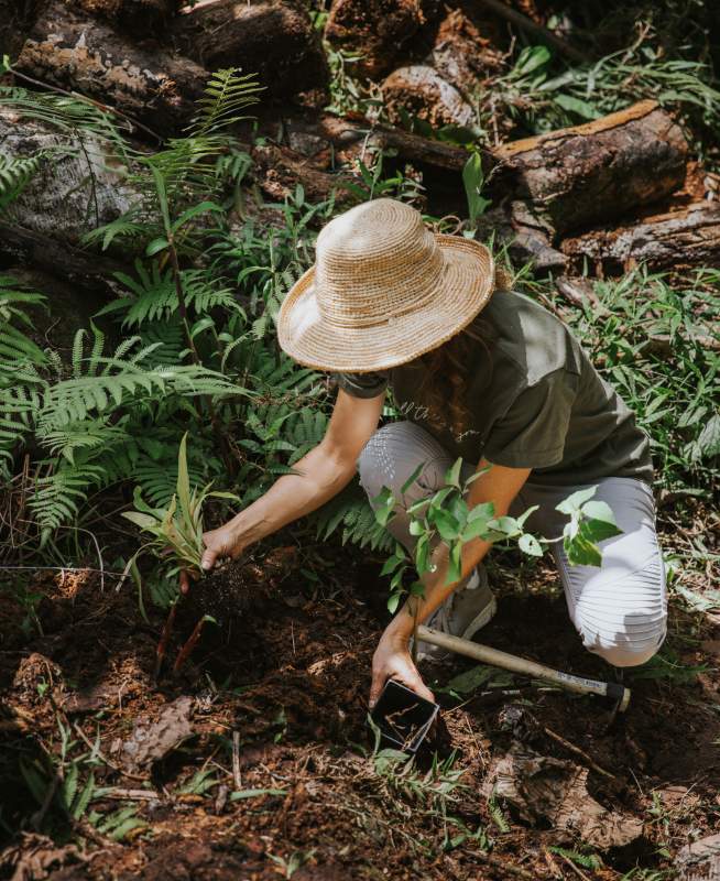 Pay it Forward Planting 