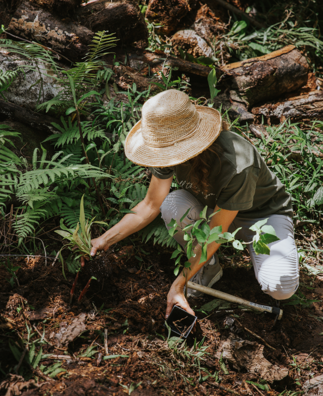 Pay it Forward Planting