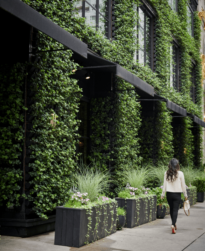 exterior vertical garden