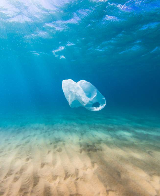A plastic bag floating in the ocean