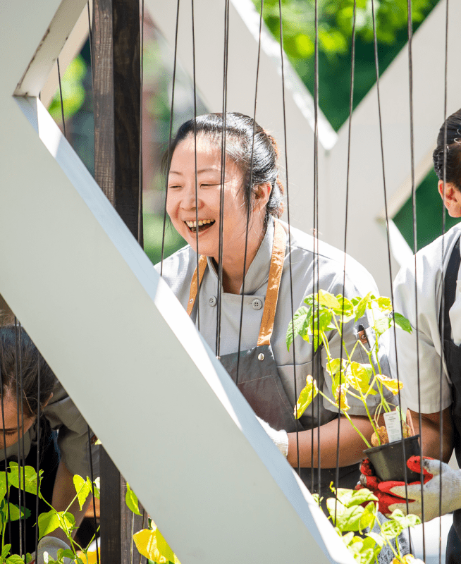 People with aprons tending to a garden