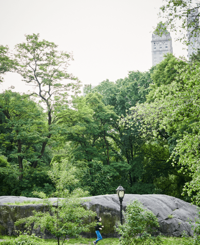 Person jogging in Central Park 