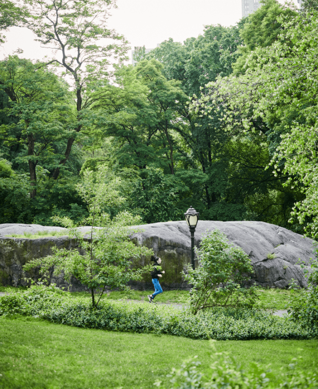 Person jogging in Central Park 
