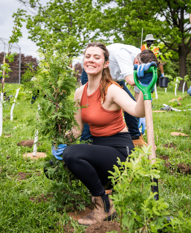 Person knelt down in a field with a shovel and uprooted plant