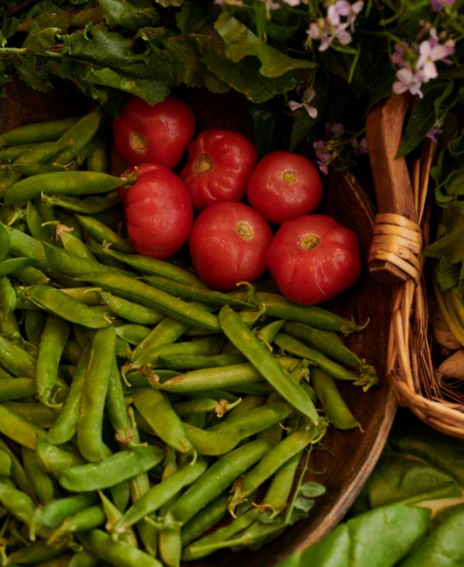 Fresh garden herbs & vegetables 