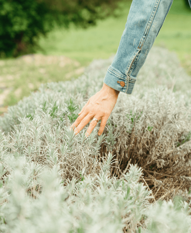 Woman tending to garden 