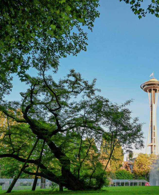 Seattle Space Needle