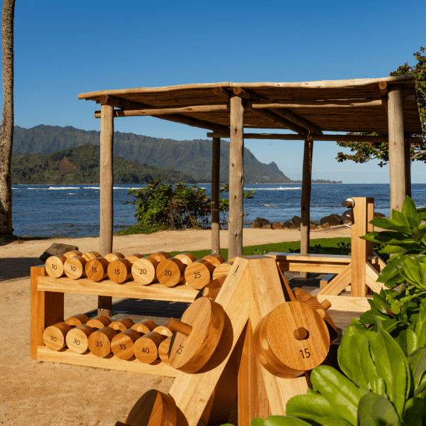 Outdoor fitness area with wooden workout equipment