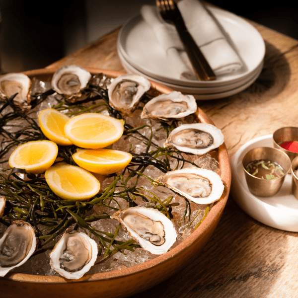 oysters