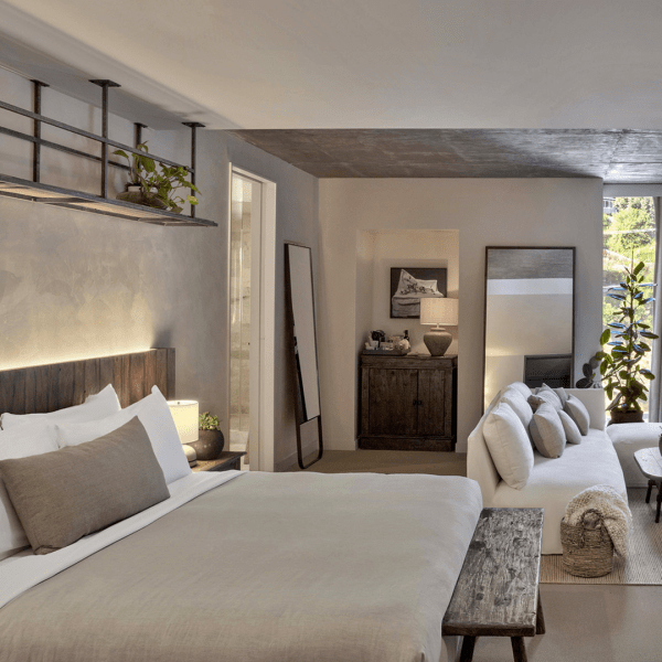 A fully furnished room complete with a king size bed, sofa, plant decor, and natural lighting