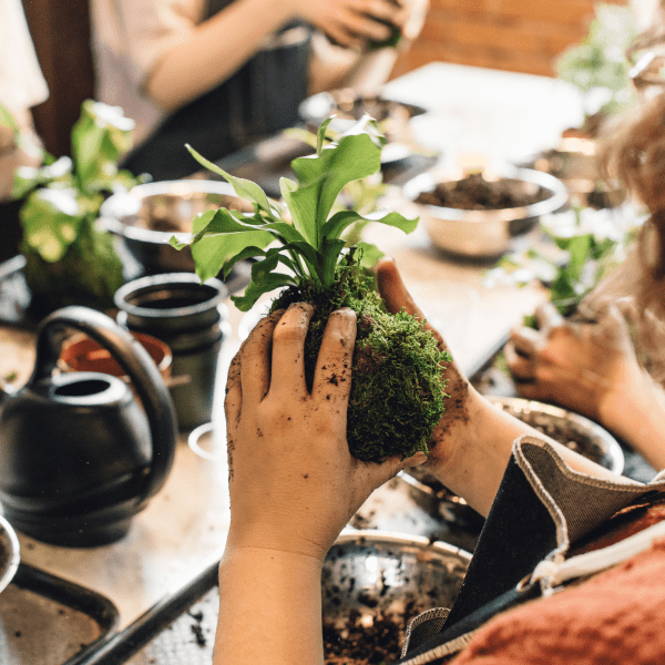 Plant workshop
