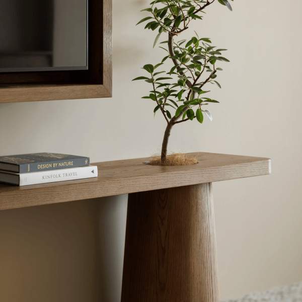 Succulent plant on tv counter