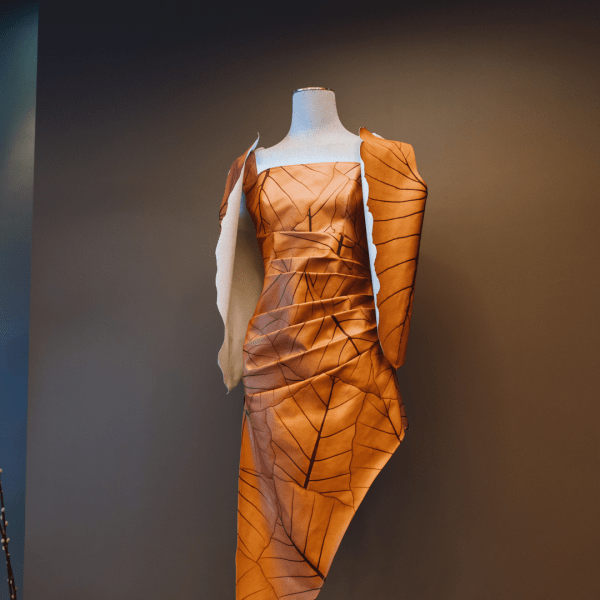Sustainable fashion