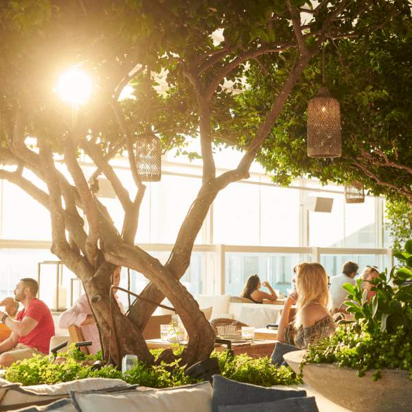 People sitting underneath trees with lanterns hanging in them