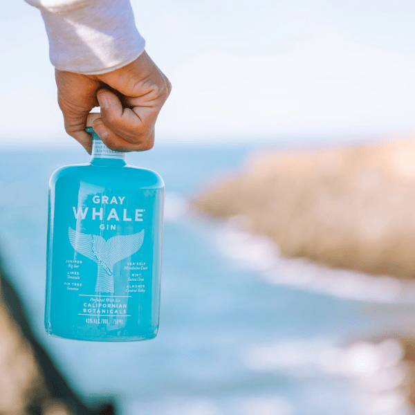 gray whale gin