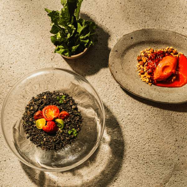 Menu du Mois de la Terre