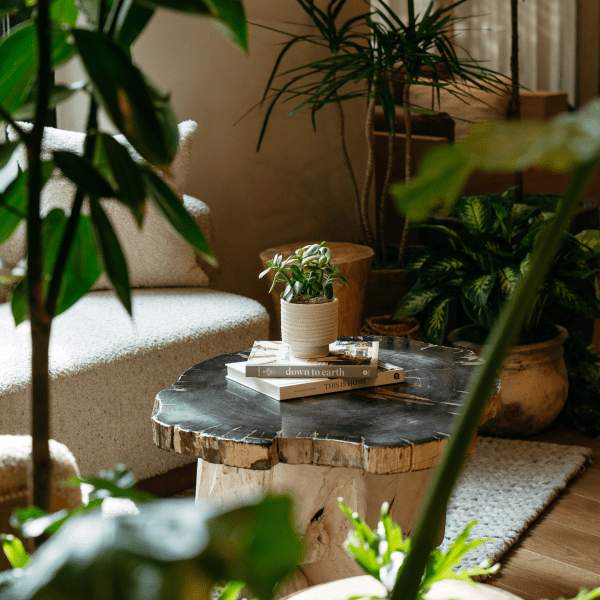 detalles del vestíbulo