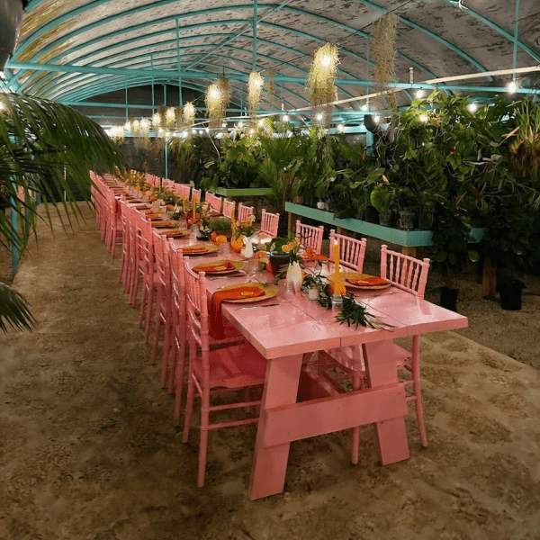 table set in tropical garden