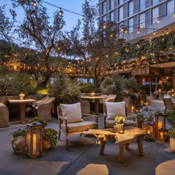 Juniper garden evening