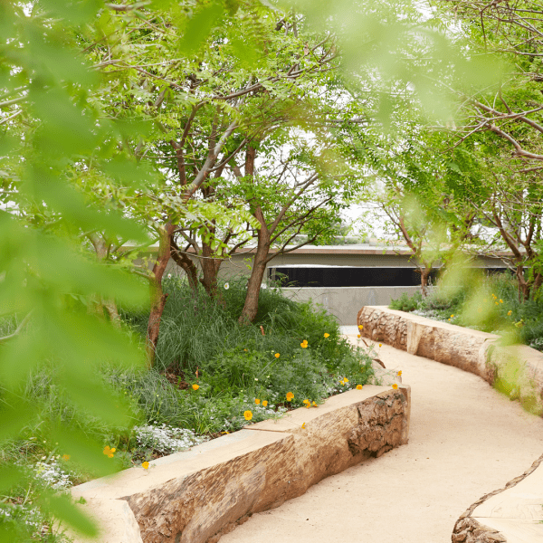 A stone path snakes its way through an outdoor garden