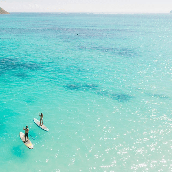 Two people using stand up paddleboards on the ocean