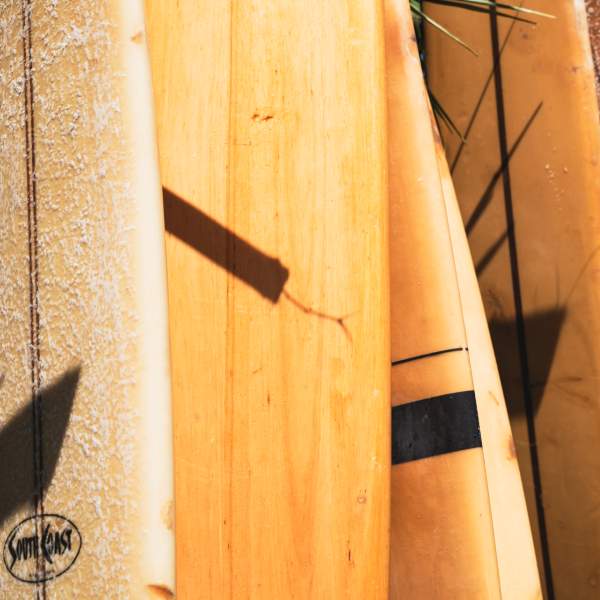 decorative pinetrees