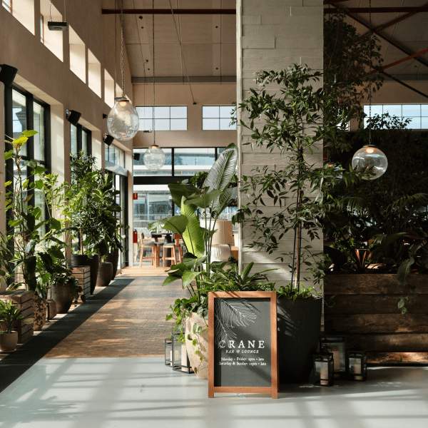 Entrance to Crane Bar