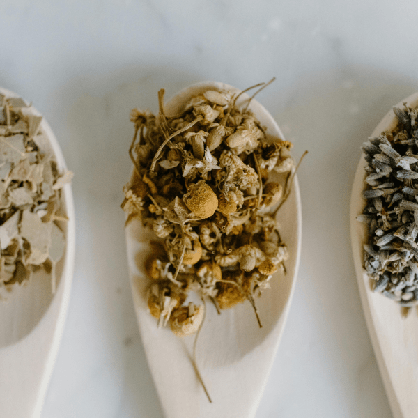 various herbs in spoons
