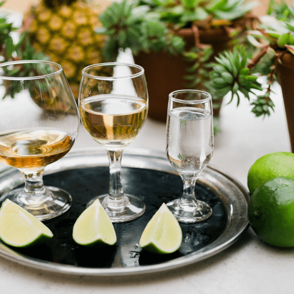 tequila and mezcal tasting