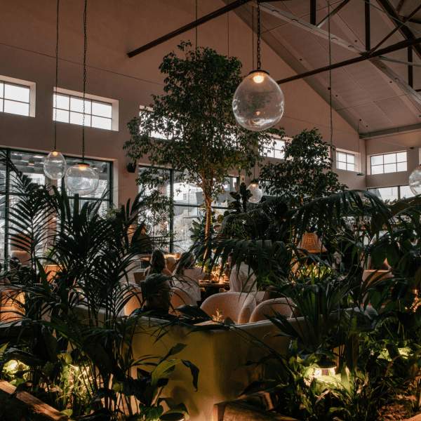 The Midnight Garden